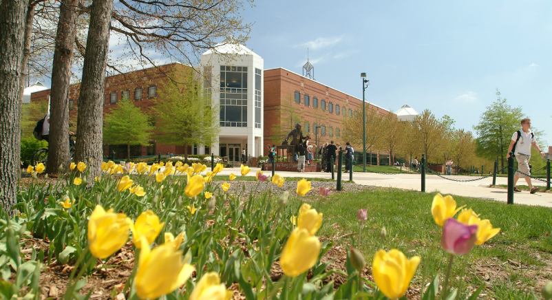 A photo of flowers outside the johnson center